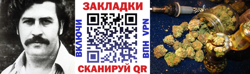 Виды наркотиков купить Черкесск Кокаин  Гашиш 