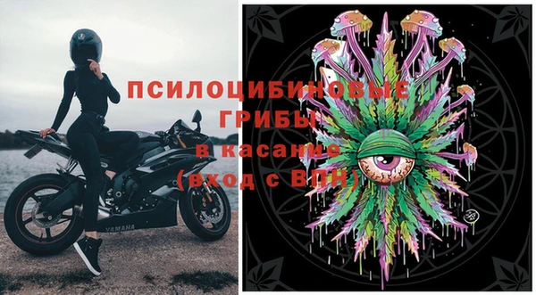 spice Лиски