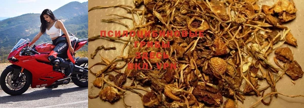 spice Лиски