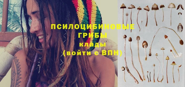 spice Лиски