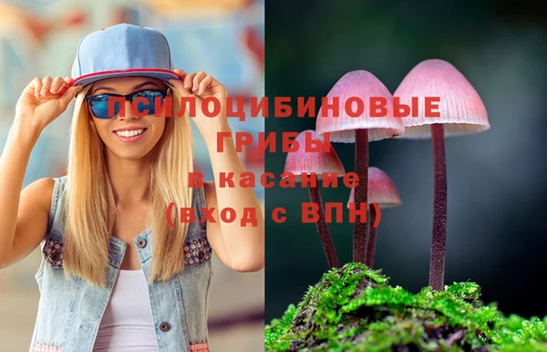 первитин Кострома