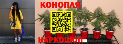 молекула духа Апшеронск