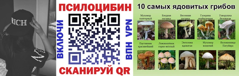 Галлюциногенные грибы мицелий  купить наркотик  Черкесск 
