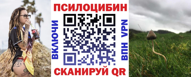 Псилоцибиновые грибы GOLDEN TEACHER Черкесск