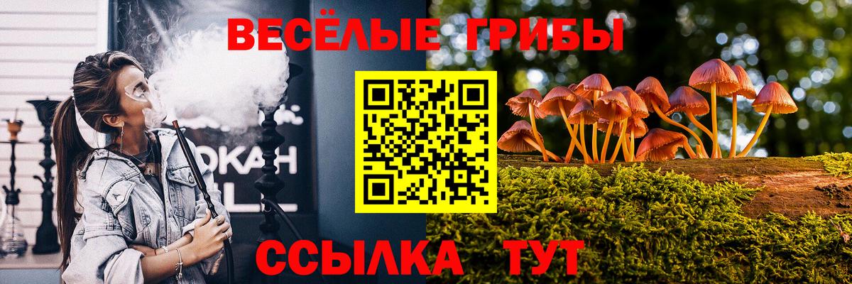 Псилоцибиновые грибы ЛСД Черкесск