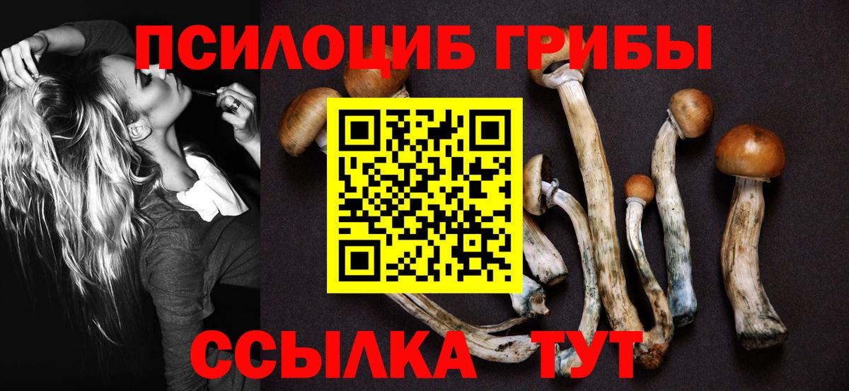 Псилоцибиновые грибы Magic Shrooms  Псилоцибиновые грибы ЛСД  Вход с VPN  хочу   Черкесск 