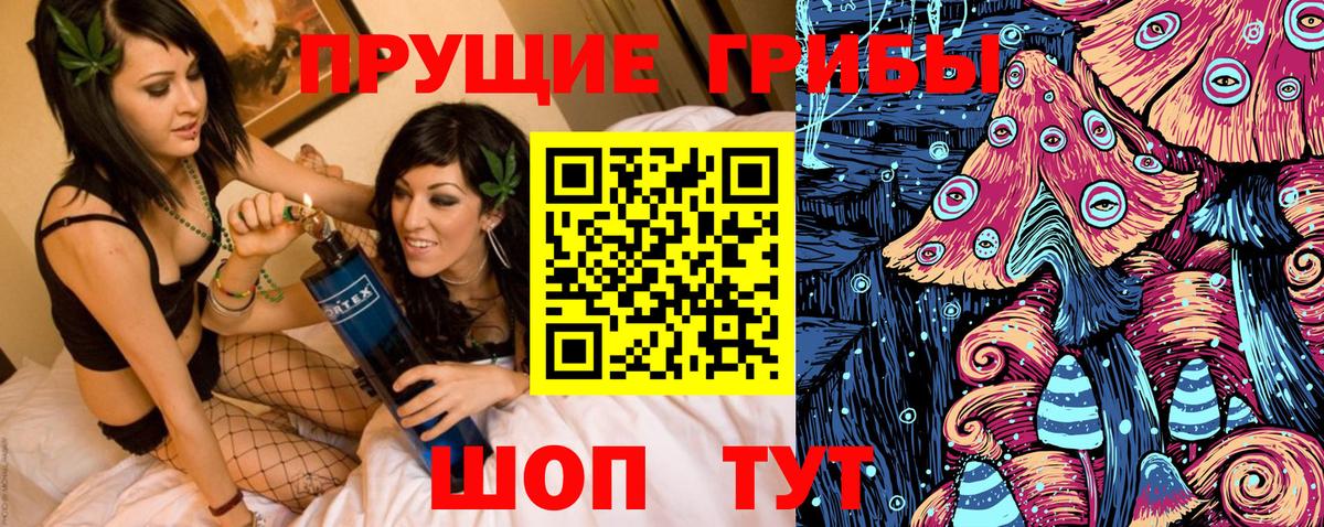 Псилоцибиновые грибы мухоморы  Вход с VPN  Черкесск  Псилоцибиновые грибы Psilocybe 
