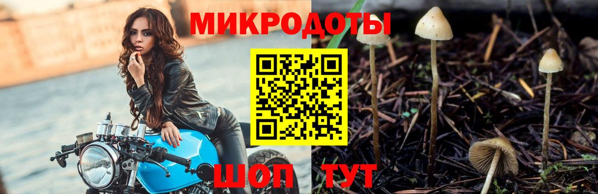 Галлюциногенные грибы мухоморы Черкесск