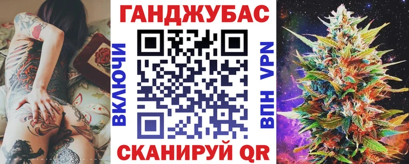 Конопля сатива  где продают   Черкесск 